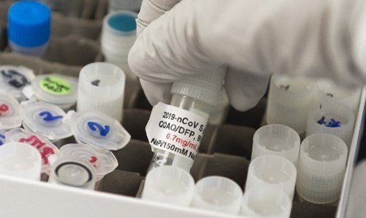 Novavax là công ty thứ 10 tiến hành thử nghiệm vaccine ngừa COVID-19 trên người. Ảnh: AFP
