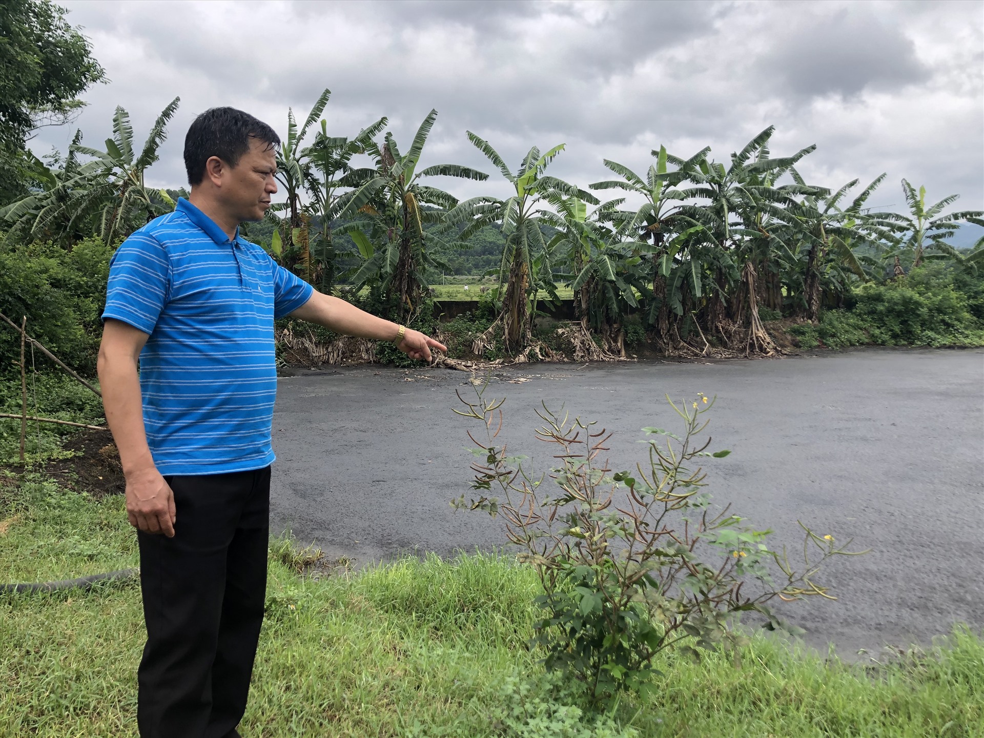 Khu vực hố chứa nước thải, phân lợn của một trại chăn nuôi nằm trên xã Yên Bình, huyện Thạch Thất, Hà Nội. Ảnh: Việt Lâm