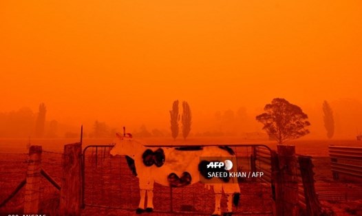Hình ảnh cháy rừng khiến Australia chìm trong khói mù. Ảnh: AFP