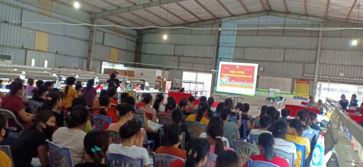 Quang cảnh buổi tư vấn. Ảnh: Thanh Hải.