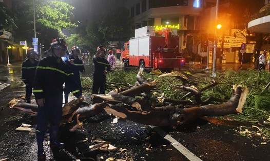 Hai vụ xây xanh ngã đổ trong đêm sau mưa lớn ở Đà Nẵng. Ảnh: Nhật Thành
