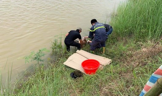 Lực lượng chức năng tìm thấy thi thể nữ sinh nghi nhảy cầu tự tử. Ảnh: Phòng Cảnh sát PCCC Nghệ An