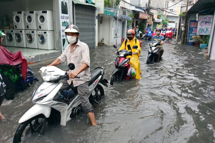 Mưa lớn tại TPHCM làm nhiều nơi ngập nặng, cây đổ Mưa lớn tại TPHCM làm nhiều nơi ngập nặng, cây đổ