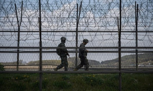 Khu phi quân sự ở biên giới Hàn Quốc - Triều Tiên. Ảnh: AFP
