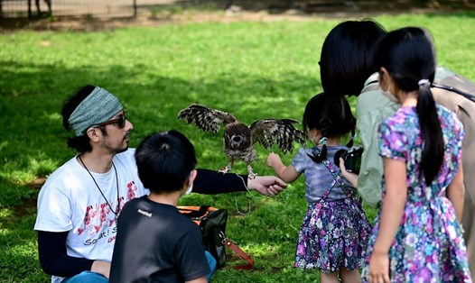 Anh Ryota Kano (trái) biểu diễn với cú Châu Phi cho một số trẻ em tại công viên ở Tokyo, Nhật Bản hôm 30.4. Ảnh: AFP.