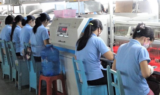 Công nhân Công ty Việt Nam Samho trong giờ làm việc. Ảnh Nam Dương