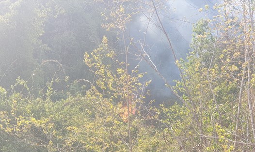 Ngọn lửa bốc cháy tại rừng phòng hộ huyện Đông Giang. Ảnh: Thanh Chung