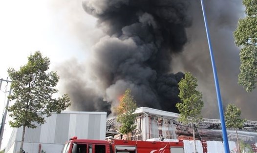 Vụ cháy tại Công ty Sản xuất yên đệm (thị xã Bến Cát, tỉnh Bình Dương). Ảnh: Đình Trọng
