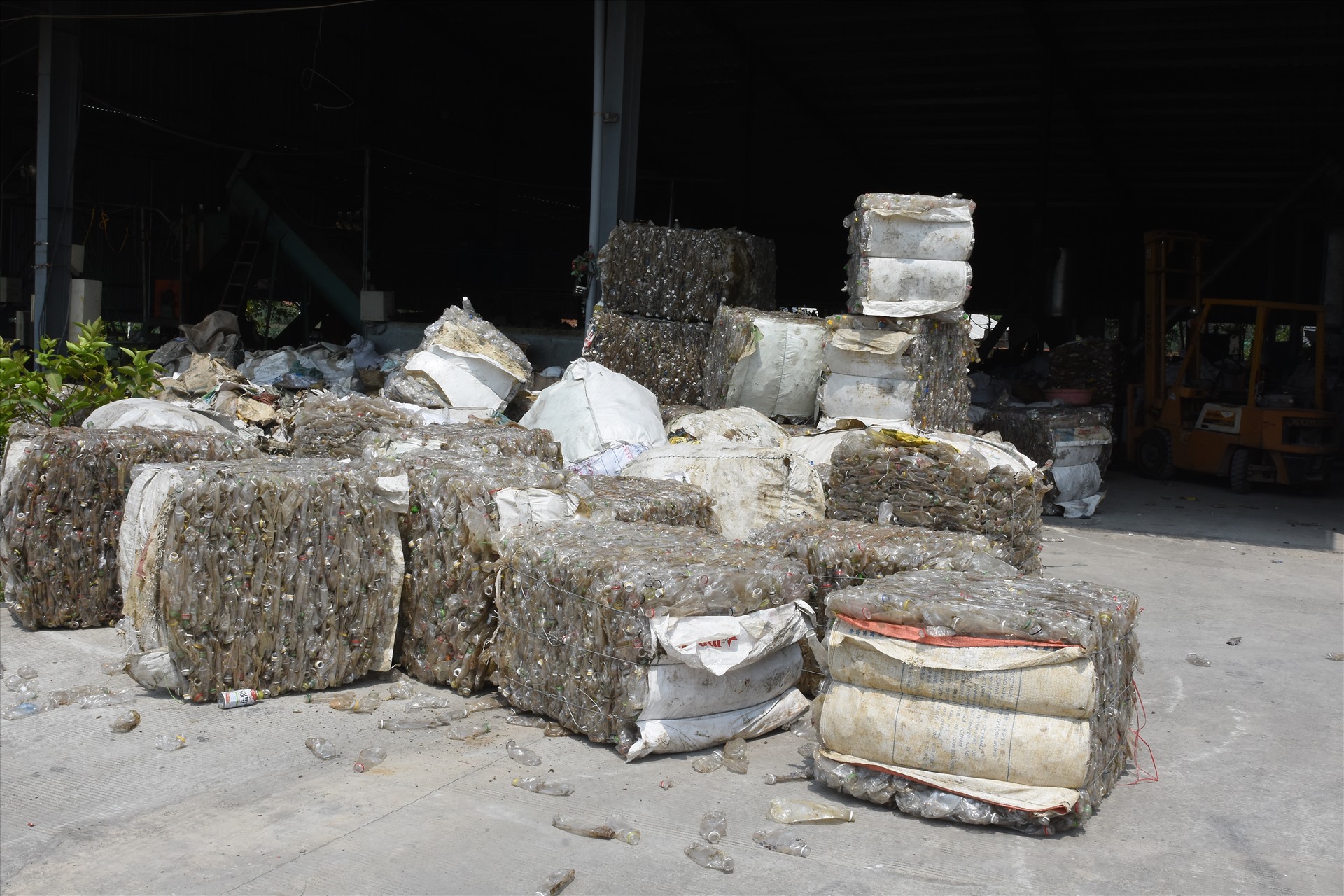 Hàng tấn chai nhựa được Công ty CP than Thiên Ấn mua về để sơ chế. Ảnh: Minh Hoàng