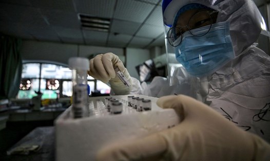 Nhân viên y tế ở Vũ Hán, Trung Quốc đang cầm các mẫu xét nghiệm. Ảnh: AFP.
