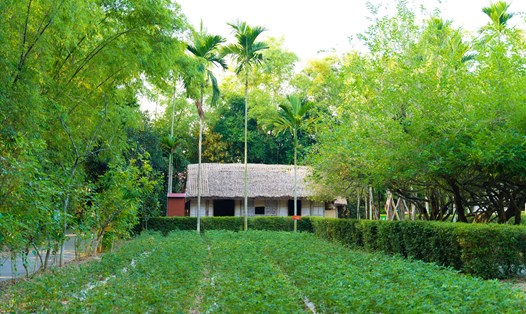 Trên con đường đất nhỏ dẫn vào ngôi nhà khi xưa Bác ở, những bờ tre rì rào trong gió, hoa cau, hoa bưởi còn thơm nồng. Ảnh: Tuấn Quỳnh