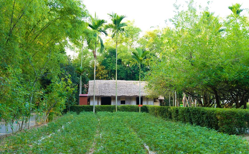 Trên con đường đất nhỏ dẫn vào ngôi nhà khi xưa Bác ở, những bờ tre rì rào trong gió, hoa cau, hoa bưởi còn thơm nồng. Ảnh: Tuấn Quỳnh