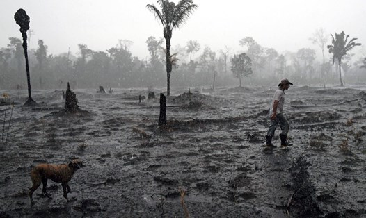 Một người dân và chú chó đi bộ qua khu vực rừng Amazon bị cháy gần thành phố Porto Velho, bang Rondonia, Brazil. Ảnh: AFP.