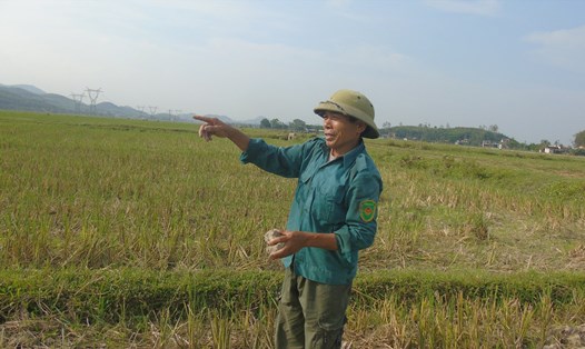 Nông dân xã Mã Thành (Yên Thành, Nghệ An) nóng ruột vì hàng trăm ha đất trồng lúa khô hạn. Ảnh: Tiến Dũng