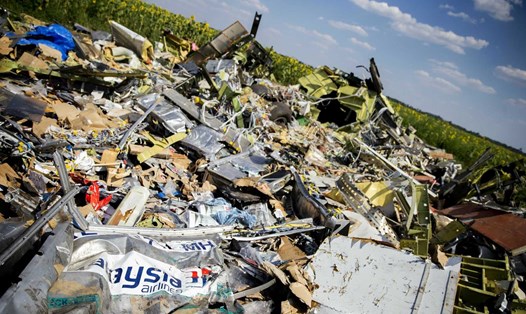 MH17 bị bắn hạ vào ngày 17.7.2014 ở miền đông Ukraina. Ảnh: AFP