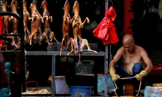 Chính quyền Ngọc Lâm, Quảng Tây,  Trung Quốc chưa từng thừa nhận tổ chức lễ hội thịt chó mà nói rằng một số nhà hàng và người dân tham gia lễ hội này. Ảnh: Reuters.
