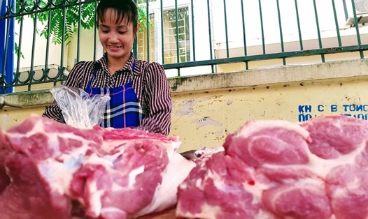 Nhập khẩu lợn sống đúng thời điểm và đảm bảo số lượng phù hợp sẽ giúp giảm nguồn cung thịt lợn, đồng thời bảo hộ được chăn nuôi trong nước. Ảnh: Khánh Vũ
