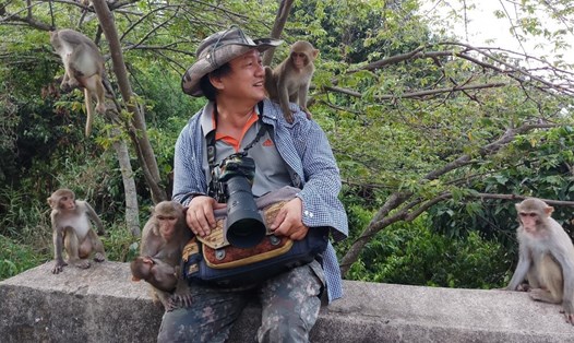 Nhiếp ảnh gia Nguyễn Công Hưng dành phần lớn thời gian khi có mặt ở Đà Nẵng để chơi đùa, cứu hộ khỉ ở Sơn Trà. Ảnh: Bình An