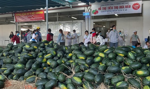 Công đoàn Công ty Nidec Việt Nam tổ chức tiêu thụ dưa hấu cho nông dân. Ảnh: N.Dương