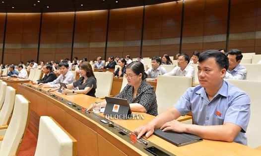 Các đại biểu Quốc hội biểu quyết. Ảnh Quochoi.vn