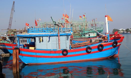 576 tàu cá ở Quảng Nam đã lắp thiết bị giám sát hành trình. Ảnh: Thanh Chung