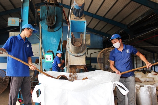 Công ty TNHH Long Sinh đảm bảo việc làm, đời sống cho công nhân lao động. Ảnh Hồng Phúc