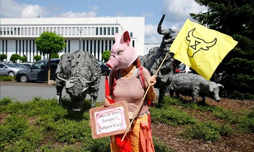 Một nhà hoạt động đeo mặt nạ đầu lợn đứng phía trước nhà máy thịt Toennies tại Rheda-Wiedenbrueck, Đức ngày 20.6. Ảnh: Reuters