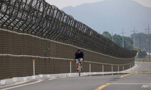 Một người đang đạp xe dọc theo hàng rào dây thép gai tại khu phi quân sự DMZ, ngăn cách Triều Tiên và Hàn Quốc ở trên đảo Gyodong của Hàn Quốc, ngày 18.6. Ảnh: AFP