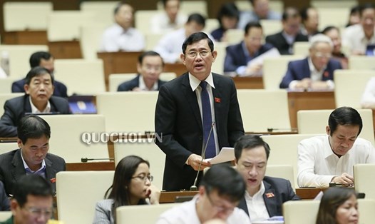 Đại biểu Nguyễn Ngọc Phương - Phó Trưởng đoàn ĐBQH tỉnh Quảng Bình. Nguồn: Quốc hội