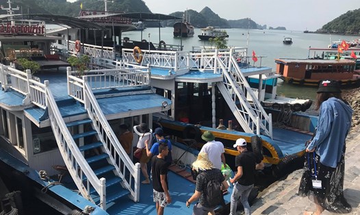 Hải Phòng xử lý 10 đối tượng chèo kéo khách du lịch tại Cát Bà. Ảnh Mai Dung