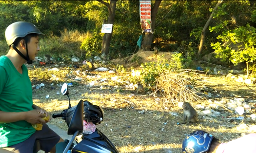 Một số người dân vô ý thức đã ném đồ ăn thừa cho bầy khỉ (ảnh từ clip Thanh Ngọc Trúc)