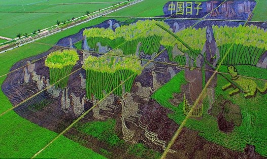 Một bức tranh 3D được tạo ra bởi những người nông dân Trung Quốc. Ảnh: Daily Mail.