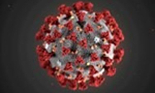 Hình thái virus SARS-CoV-2 gây ra căn bệnh hô hấp COVID-19. Ảnh: AFP