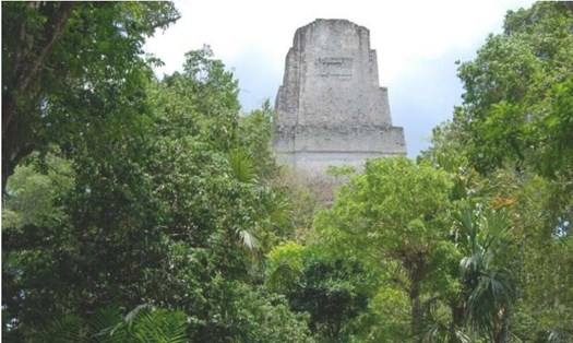 Cấu trúc ở trung tâm thành phố Tikal - thành phố Maya cổ đại. Ảnh: Phys.org.