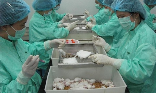 50 con chuột được tiêm vaccine thử nghiệm trong ngày 26.4. Ảnh: VIBIOTECH