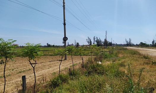 Một góc khu vực đất xã Thạch Bằng (nay là thị trấn Lộc Hà) mà nhiều người dân xin cấp đất đã nộp tiền hơn 4 năm qua rồi bị "treo" đến nay. Ảnh: Trần Tuấn.