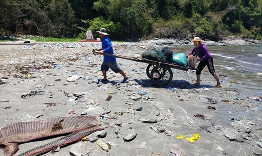 Rác thải ngập ngụa ở bãi biển Tam Hải (huyện Núi Thành, tỉnh Quảng Nam). Ảnh: Thanh Chung