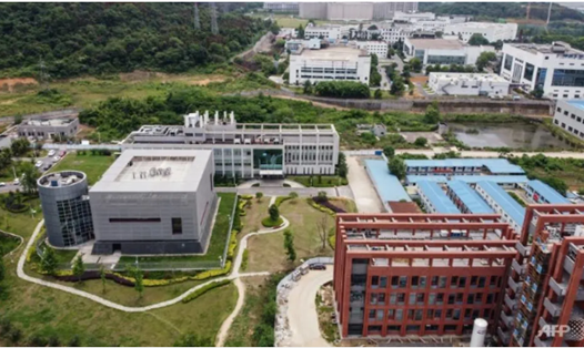 Viện Virus học ở thành phố Vũ Hán, Trung Quốc. Ảnh: AFP