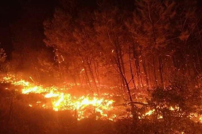 Hình ảnh cháy rừng Cực Chất Full 4K  Bộ sưu tập hình ảnh cháy rừng hàng  đầu với hơn 999 hình