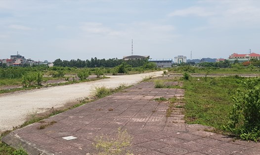 Khu "đất vàng" rộng 28ha nằm giữ lòng thành phố Ninh Bình và đã được đầu tư xây dựng hạ tầng nhưng vẫn nằm bỏ hoang hơn 10 năm nay. Ảnh: NT