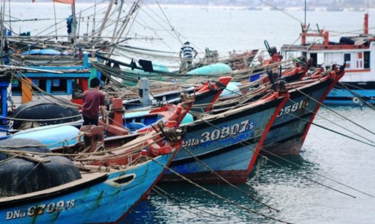 526 tàu cá Đà Nẵng đã được lắp đặt thiết bị giám sát hành trình. Ảnh: Thuỳ Trang