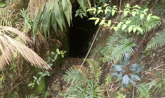UBND huyện Hoà Vang, Đà Nẵng xin dùng thuốc nổ đánh sập 21 hầm vàng trái phép. Ảnh: Hồ Văn