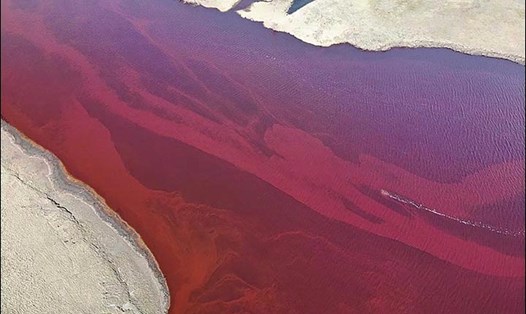 Dầu tràn khiến sông đỏ như máu. Ảnh: Siberian Times