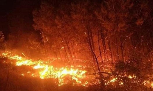 Đám lửa rừng rực trong vụ cháy rừng tại Nghệ An. Ảnh: Tuấn Quỳnh
