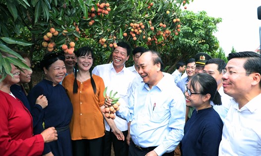 Thủ tướng Nguyễn Xuân Phúc thăm "Vườn quả Bác Hồ" (tiền thân là "Rừng cây Bác Hồ" hình thành vào năm 1970) tại xã Quý Sơn, huyện Lục Ngạn, tỉnh Bắc Giang. Ảnh: VGP