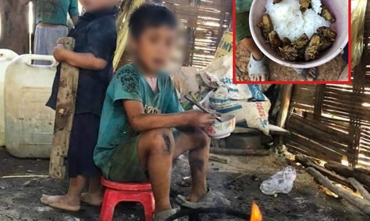 Hình ảnh những em bé ăn cơm với ve sầu (ảnh chụp đầu tháng 6/2020). Ảnh Văn Giang