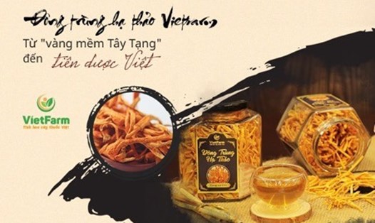 Đông trùng hạ thảo Vietfarm và câu chuyện đem "vàng mềm Tây Tạng" về xứ Việt.