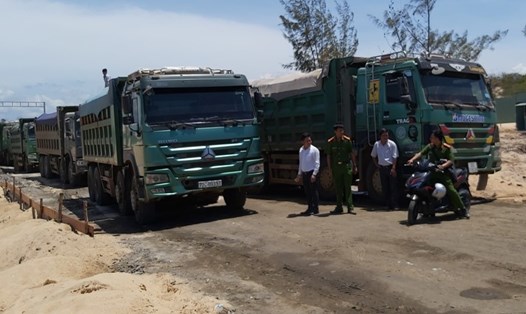 10 ôtô tải phục vụ khai thác cát lậu của Công ty Free Land  bị cơ quan chức năng bắt tại hiện trường. Ảnh: Nguyên Dũng