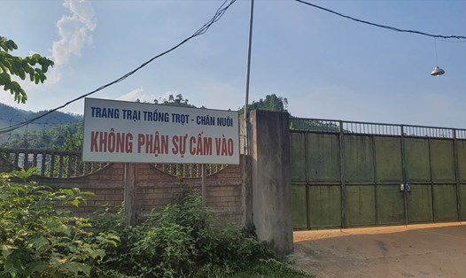 Dù không có bất cứ dự án nào được phê duyệt nhưng ông Dương Văn Trần vẫn ngang nhiên quây rào, làm cổng, cấm người dân lai vãng vào khu rừng. Ảnh: LN