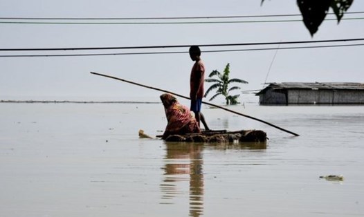 Ít nhất 50 người đã bị thiệt mạng khi lũ lụt tấn công Ấn Độ vào năm nay. Ảnh: AFP